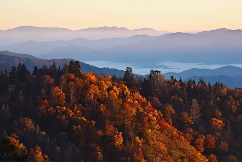 fall colors in the Greast Smoky Mountains
