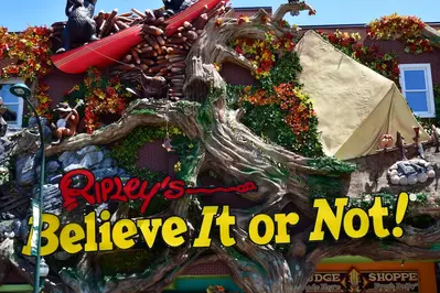 ripleys believe it or not