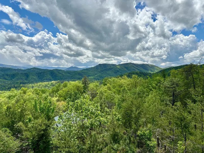 FIREPITS AND FIREFLIES