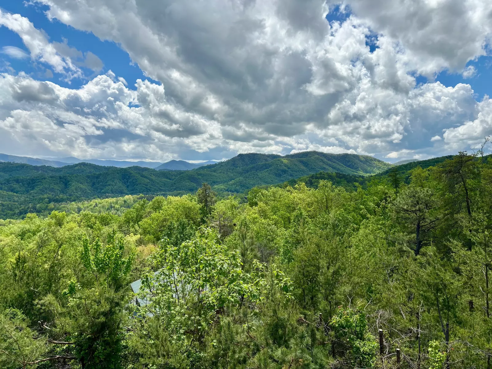 FIREPITS AND FIREFLIES