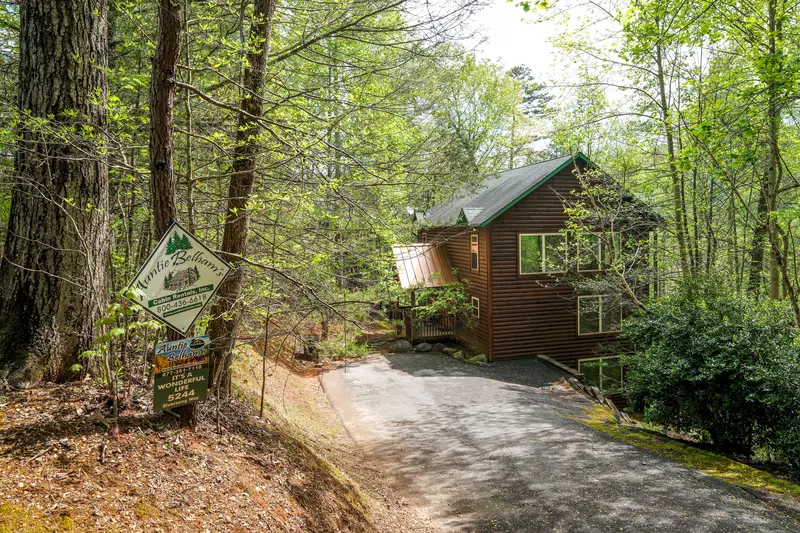 IT'S A WONDERFUL LIFE